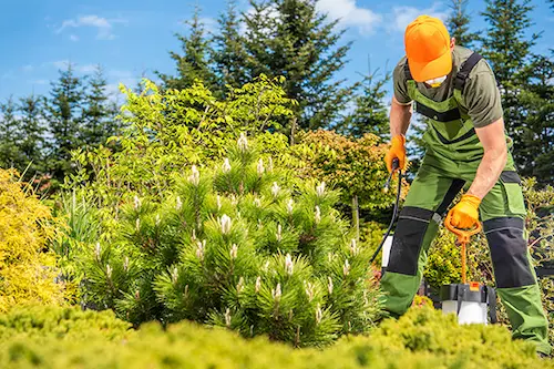 giardiniere POS in 24 ore